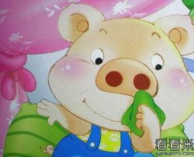 小鸡和小猪搞笑短片,爆笑日常，笑料连连